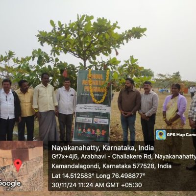 8c519272-46d4-4347-938f-6901323fa2f7